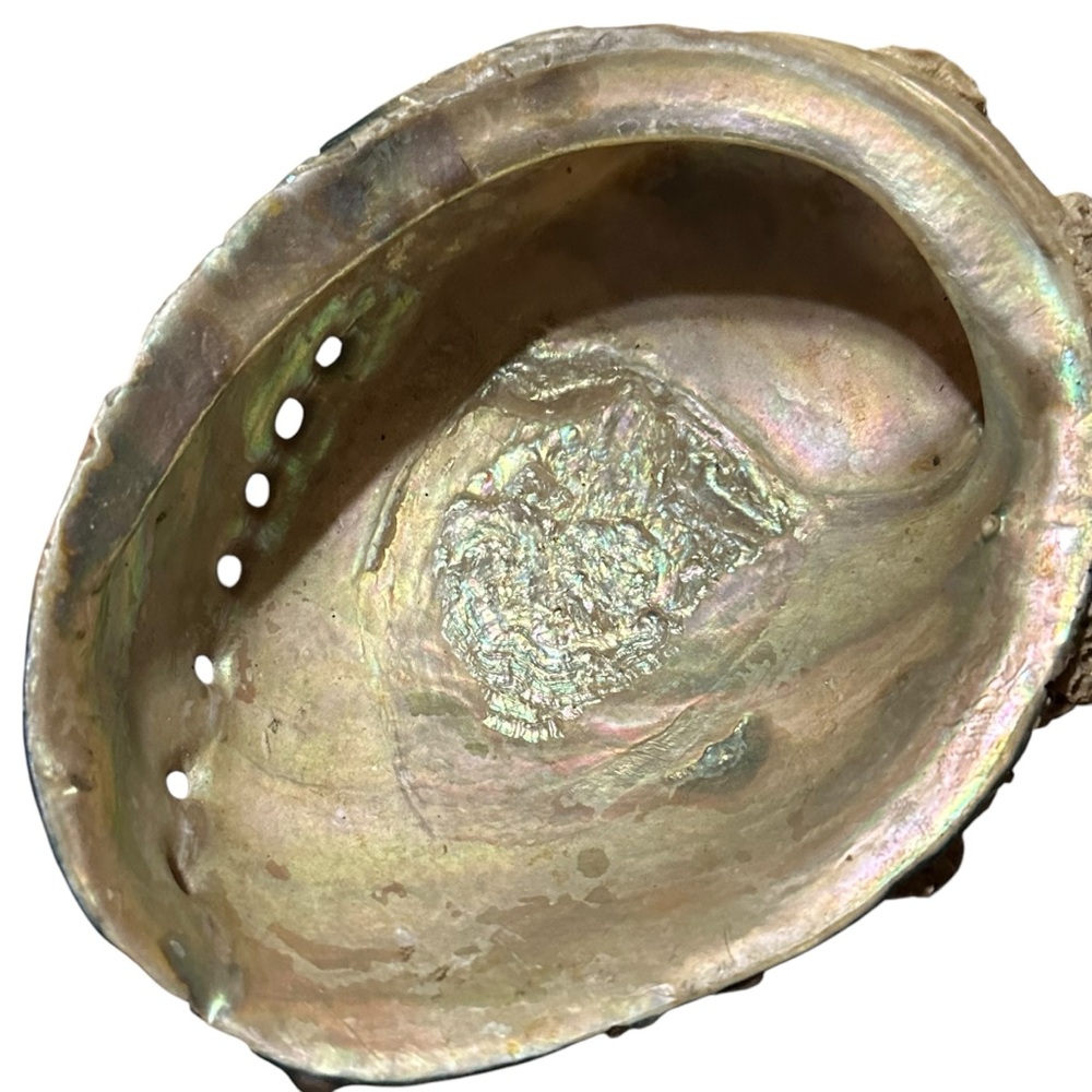 Abalone Sea Shell Beach Nautical Bowl Natural 70s 4.5”x5.5” - Picture 5 of 16